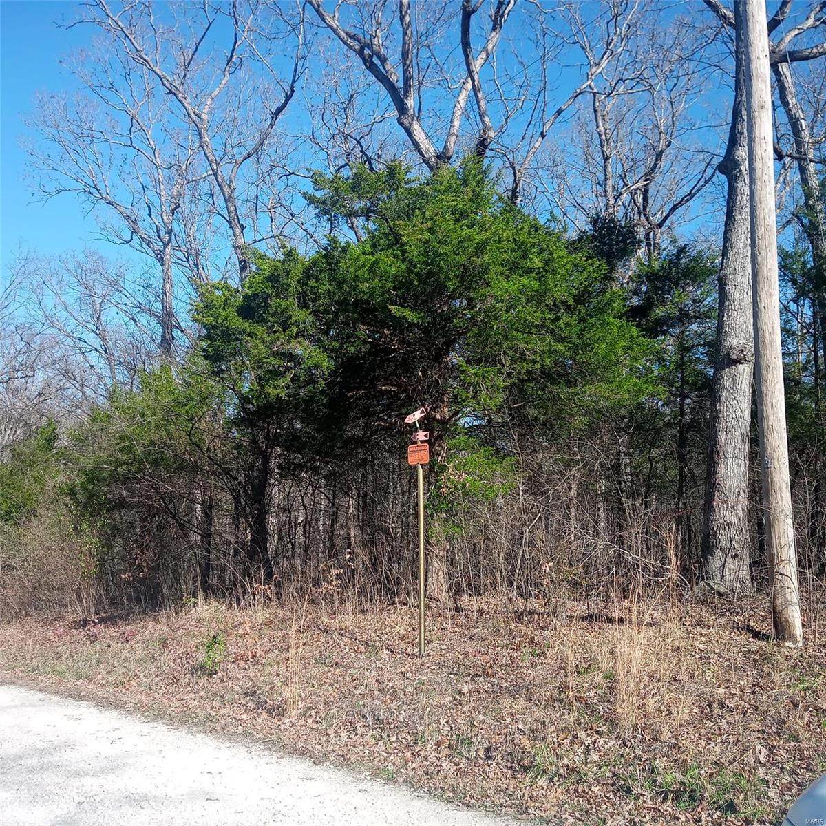 0 Fawn Drive - Photo 1
