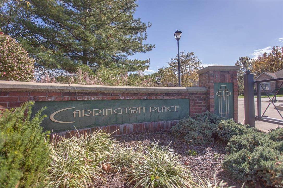 1847 Carrington Way - Photo 1