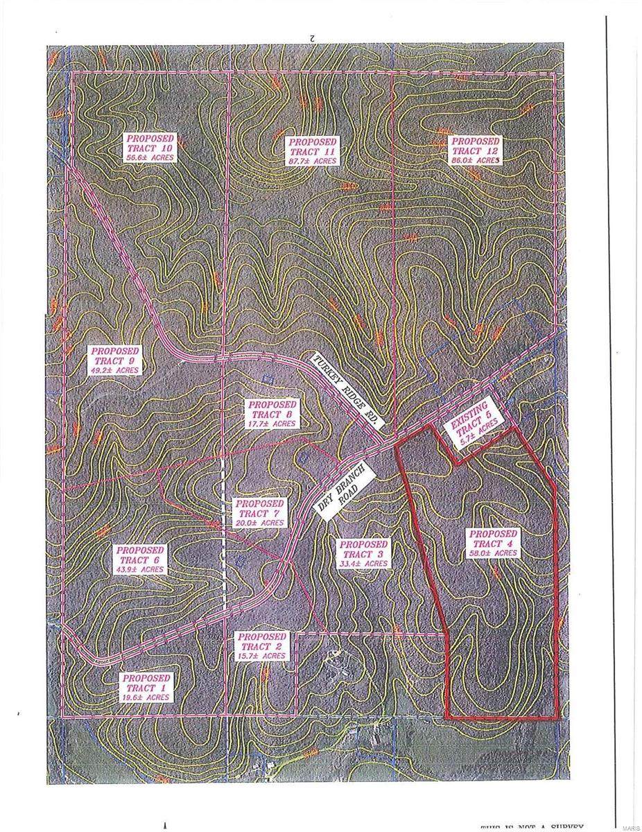 0 Dry Branch Road - Photo 1