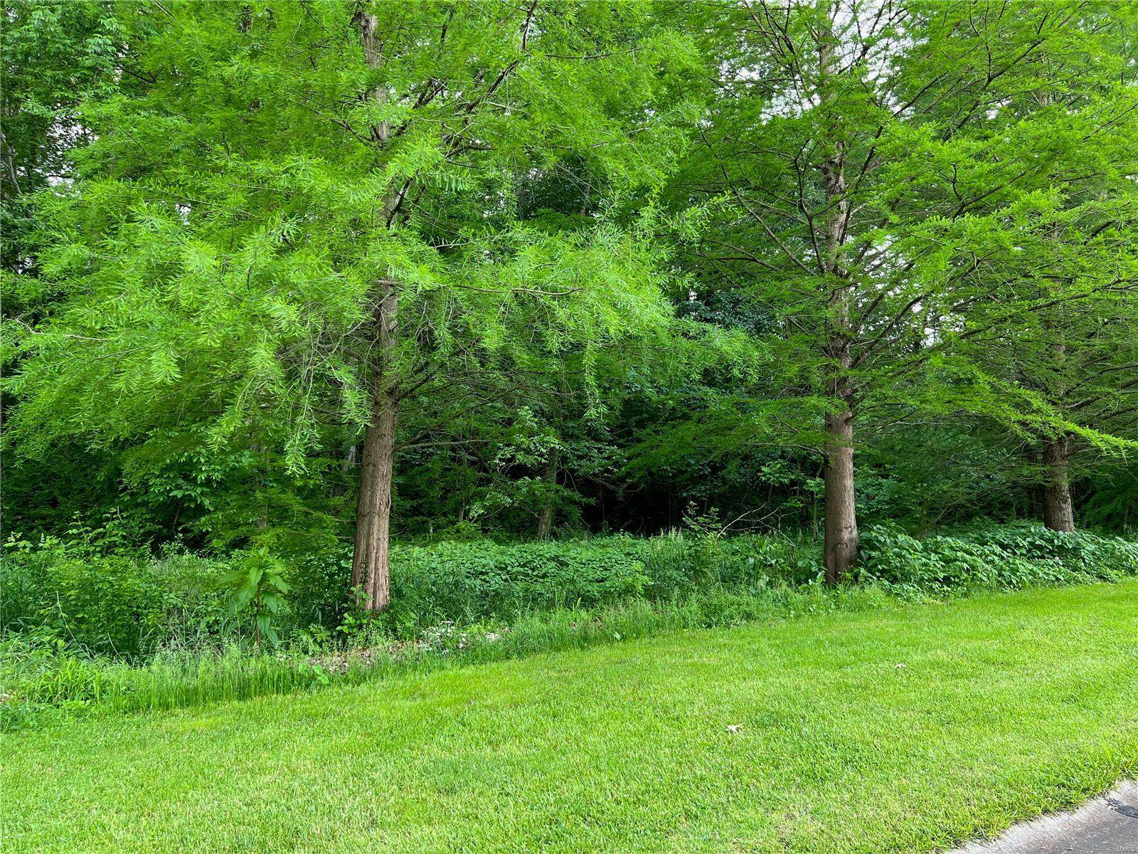 145 Shar Rye Drive - Photo 1