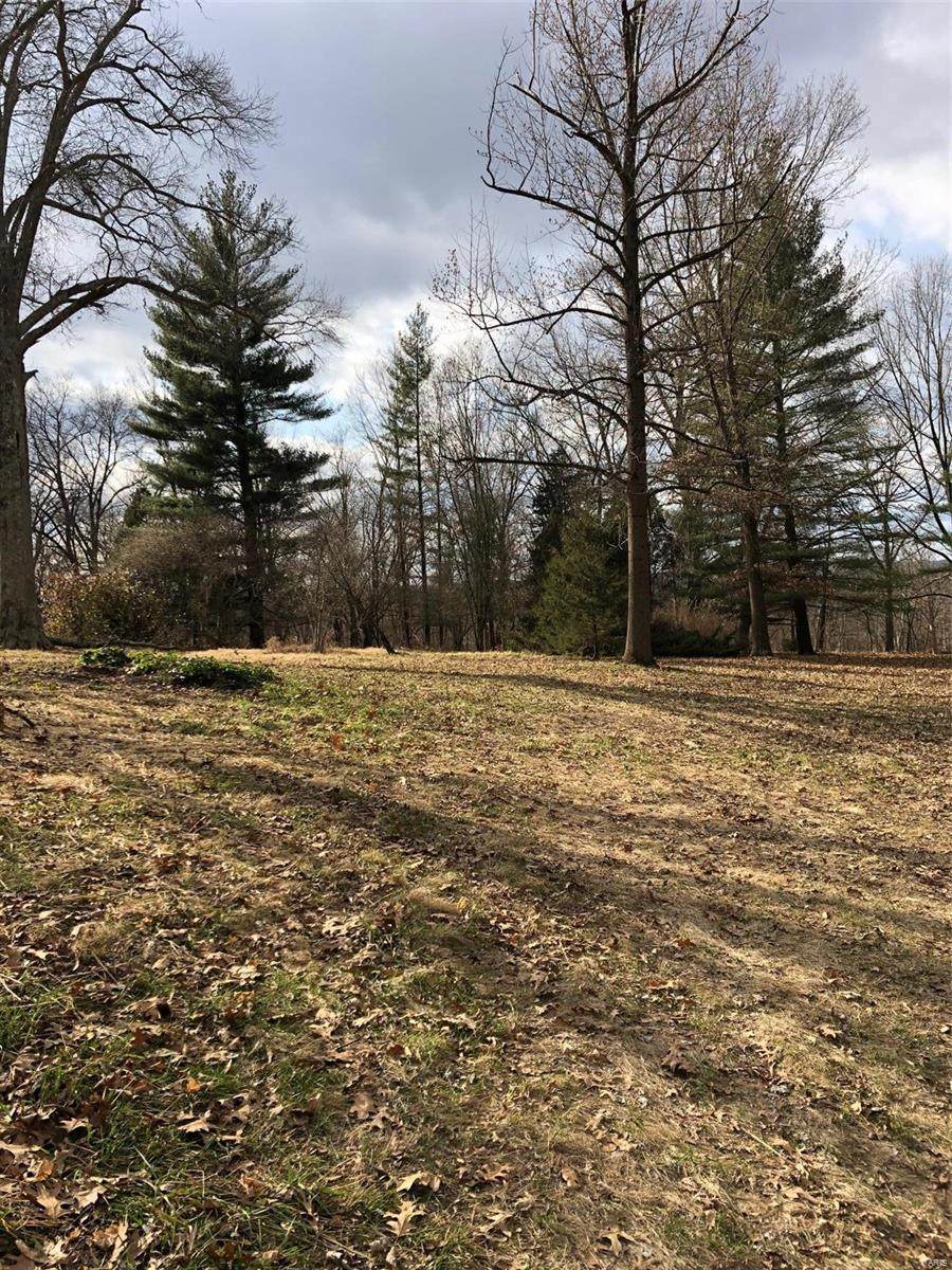 519 Lewis Road - Photo 1