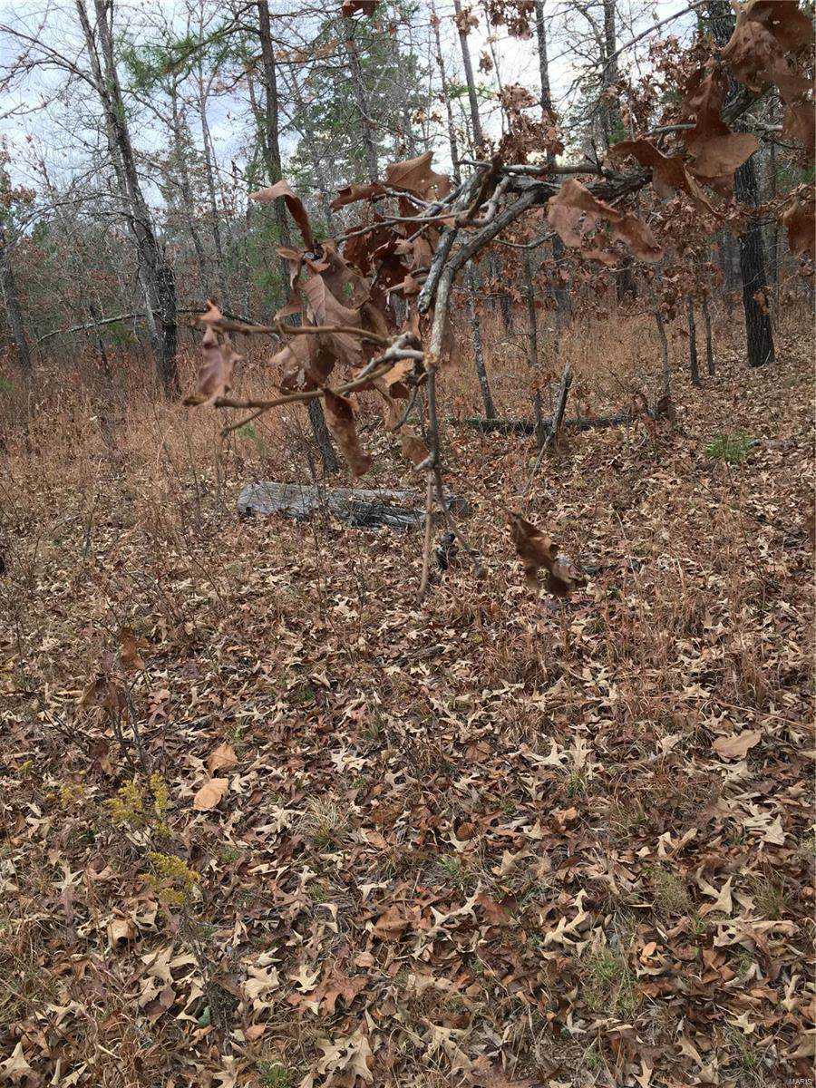 26 Section - Photo 1