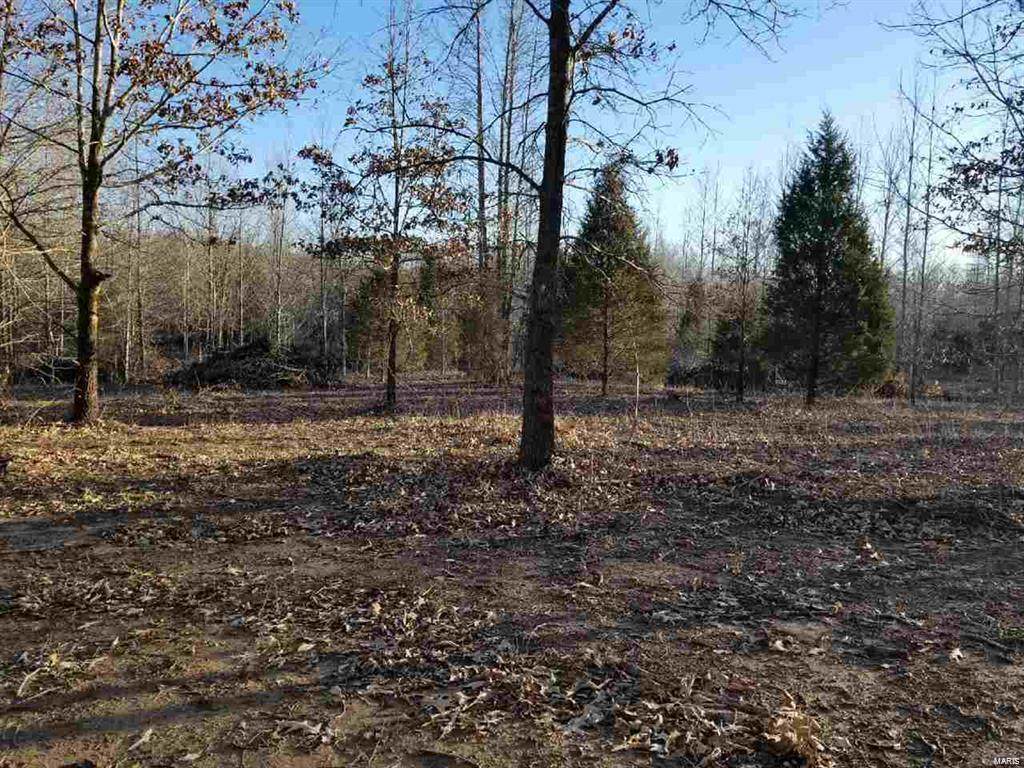 0 Cr 517 Lot 7 - Photo 1