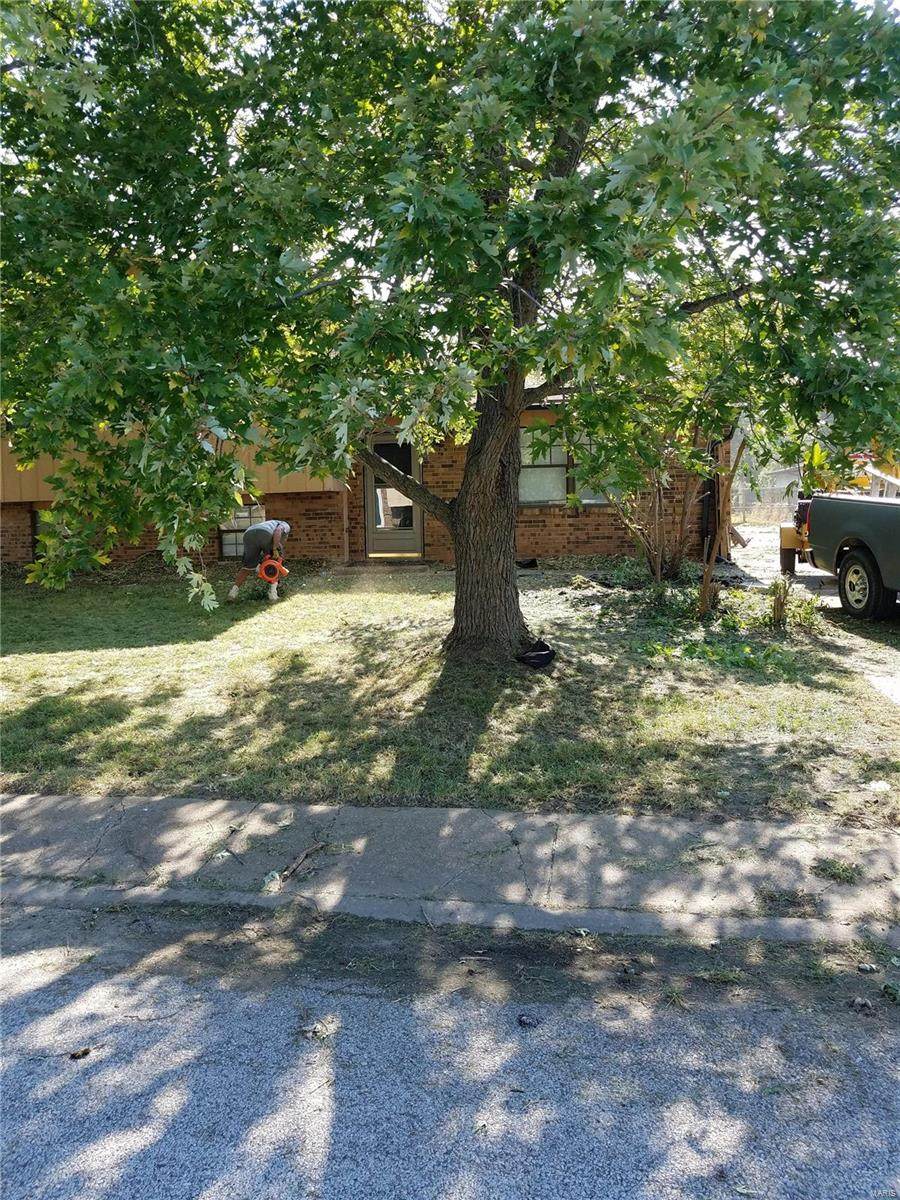 1996 Oak Tree - Photo 1