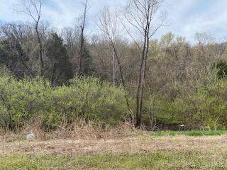 2170 New State Highway M - Photo 1