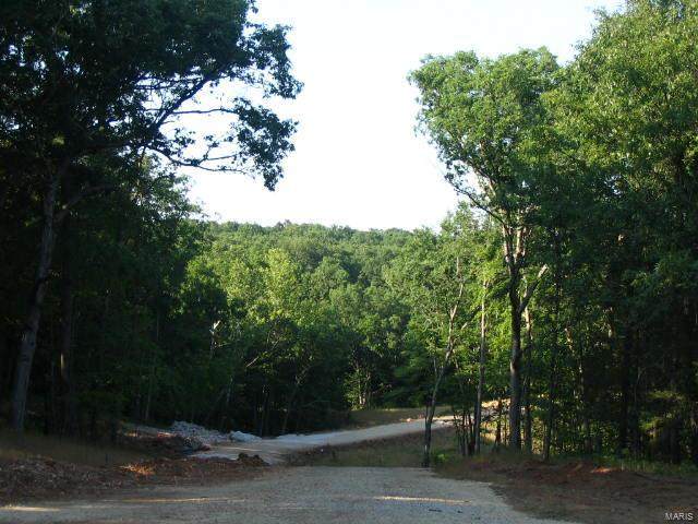 0 Lot #38 Bristol Ridge - Photo 1