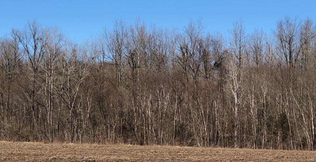 0 Hwy B - Photo 1