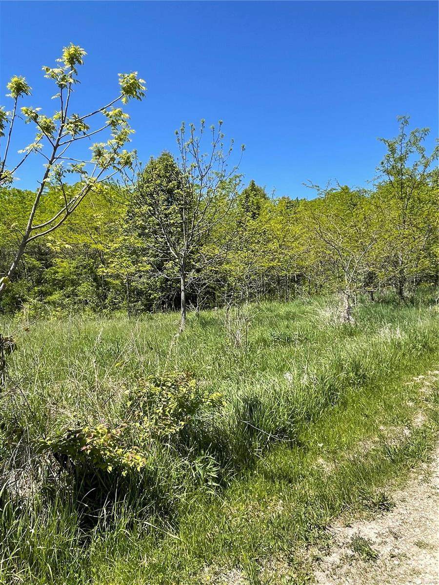 8966 Hwy 79 - Photo 1