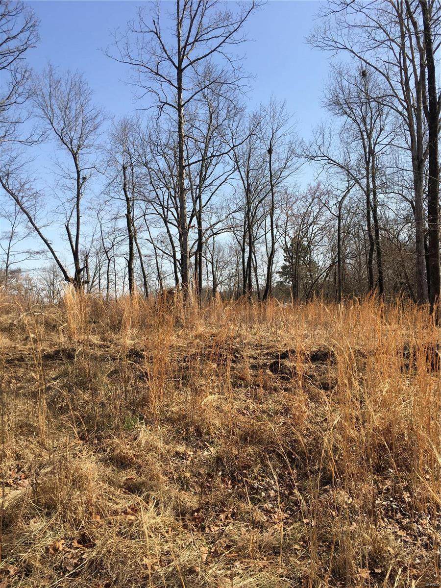 0 Timber Way Lot 33 - Photo 1