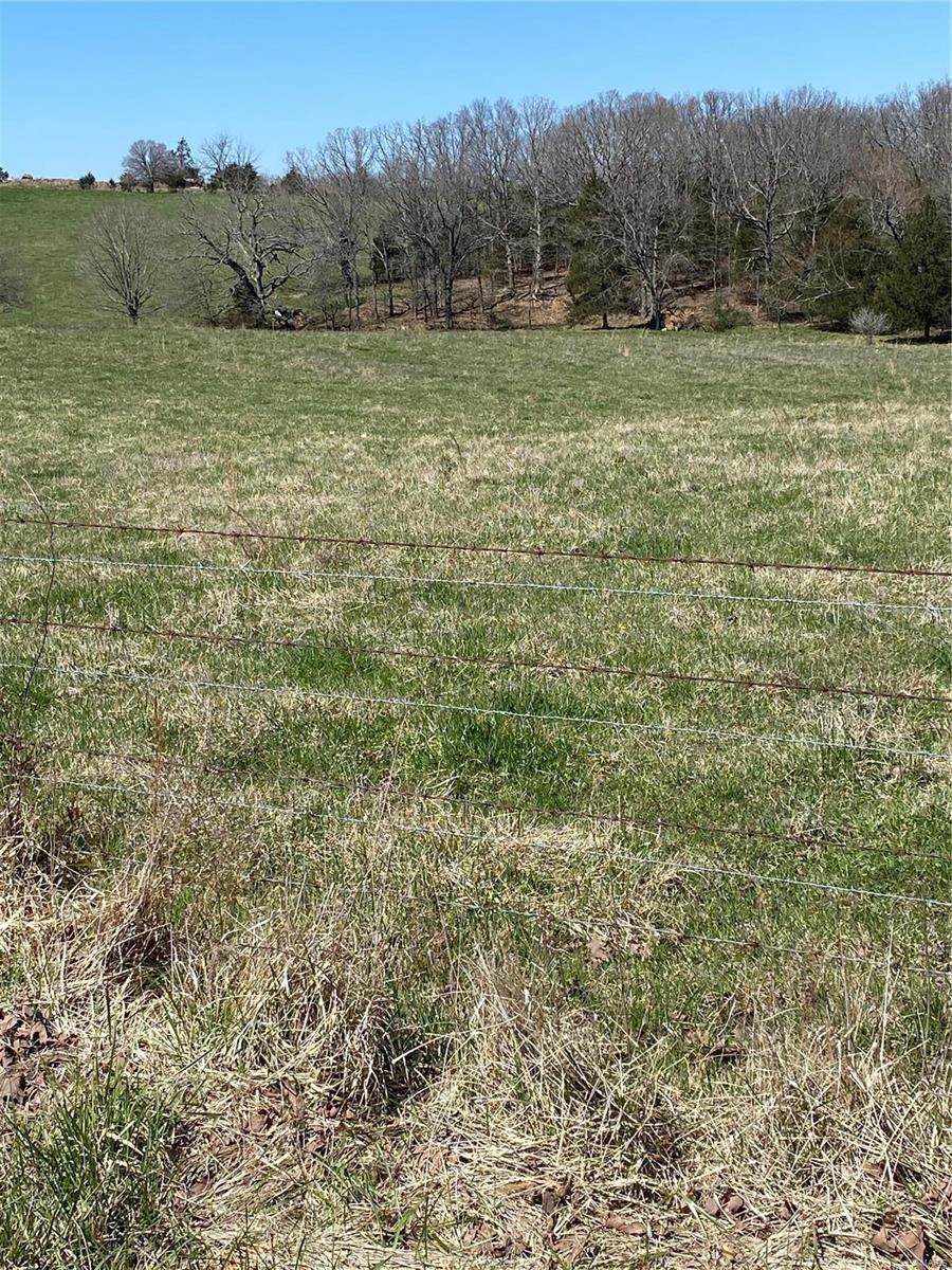 0 Spring Bluff Road - Photo 1