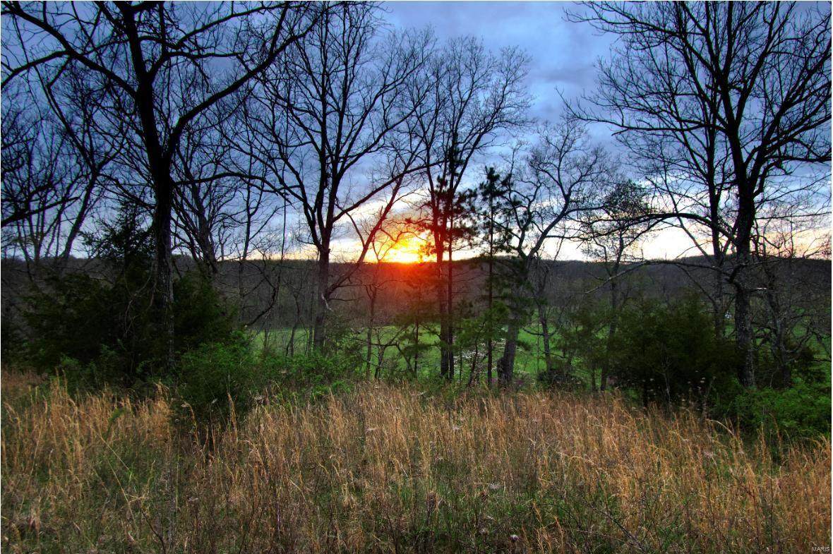 0 Tbd White Creek Road - Photo 1