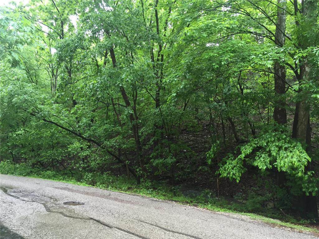 17473 Thunder Valley Drive - Photo 1