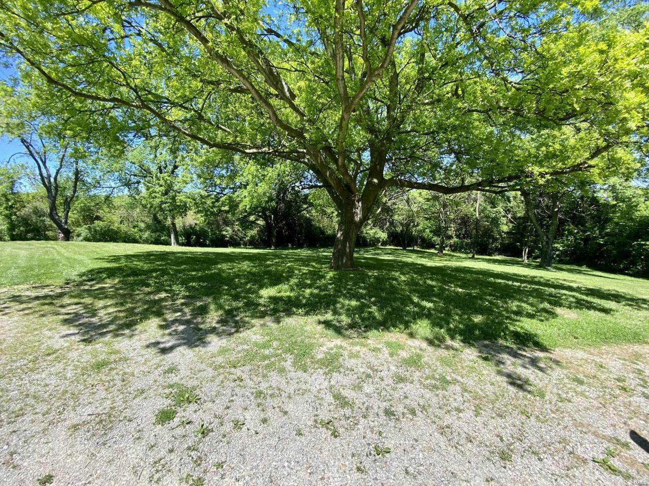 801 Romaine Creek Road - Photo 1