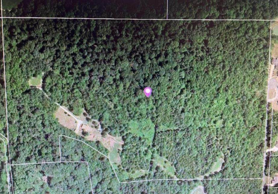 2200 Farris County Road - Photo 1