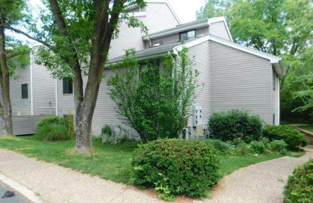 1333 Prospect Village Lane - Photo 1
