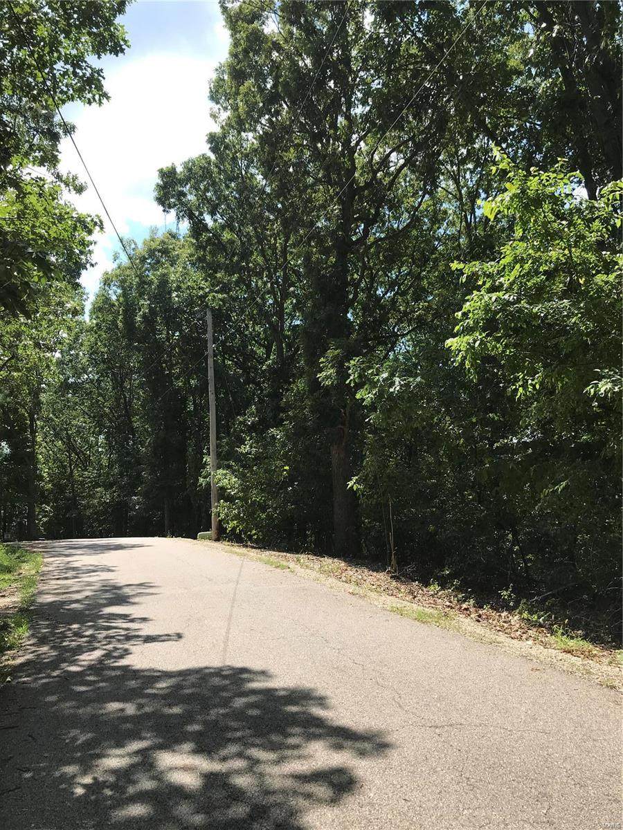 1561 Wolf Trail Road - Photo 1