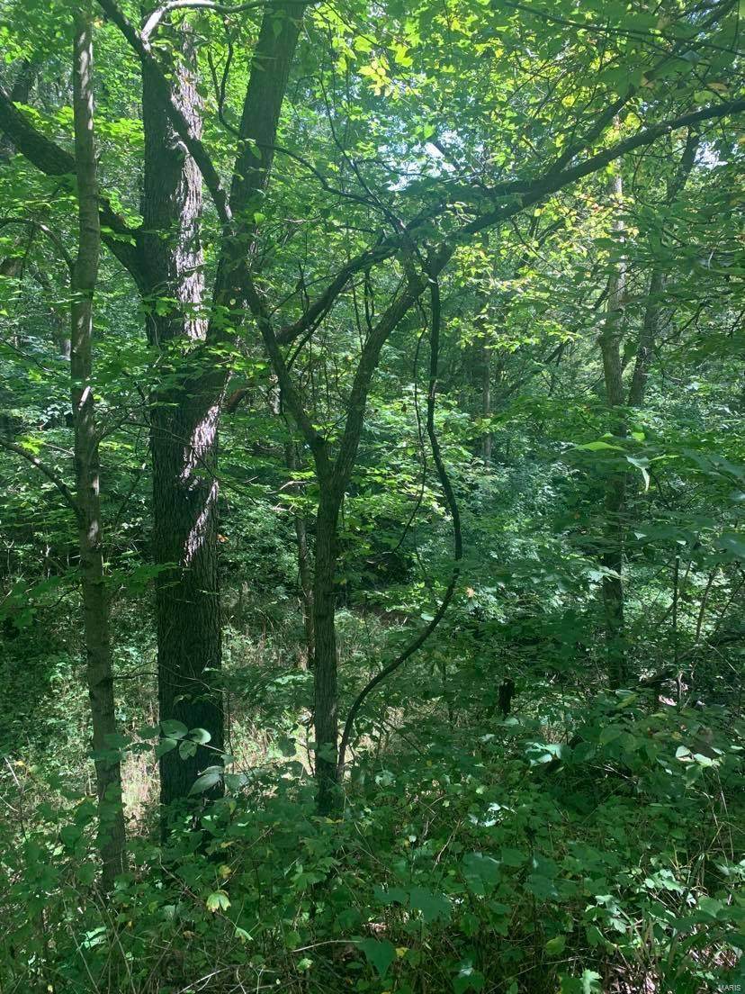 0 Il Rt 127 - Photo 1