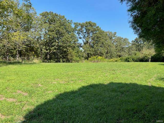 21624 Highway 28 Tract A - Photo 1