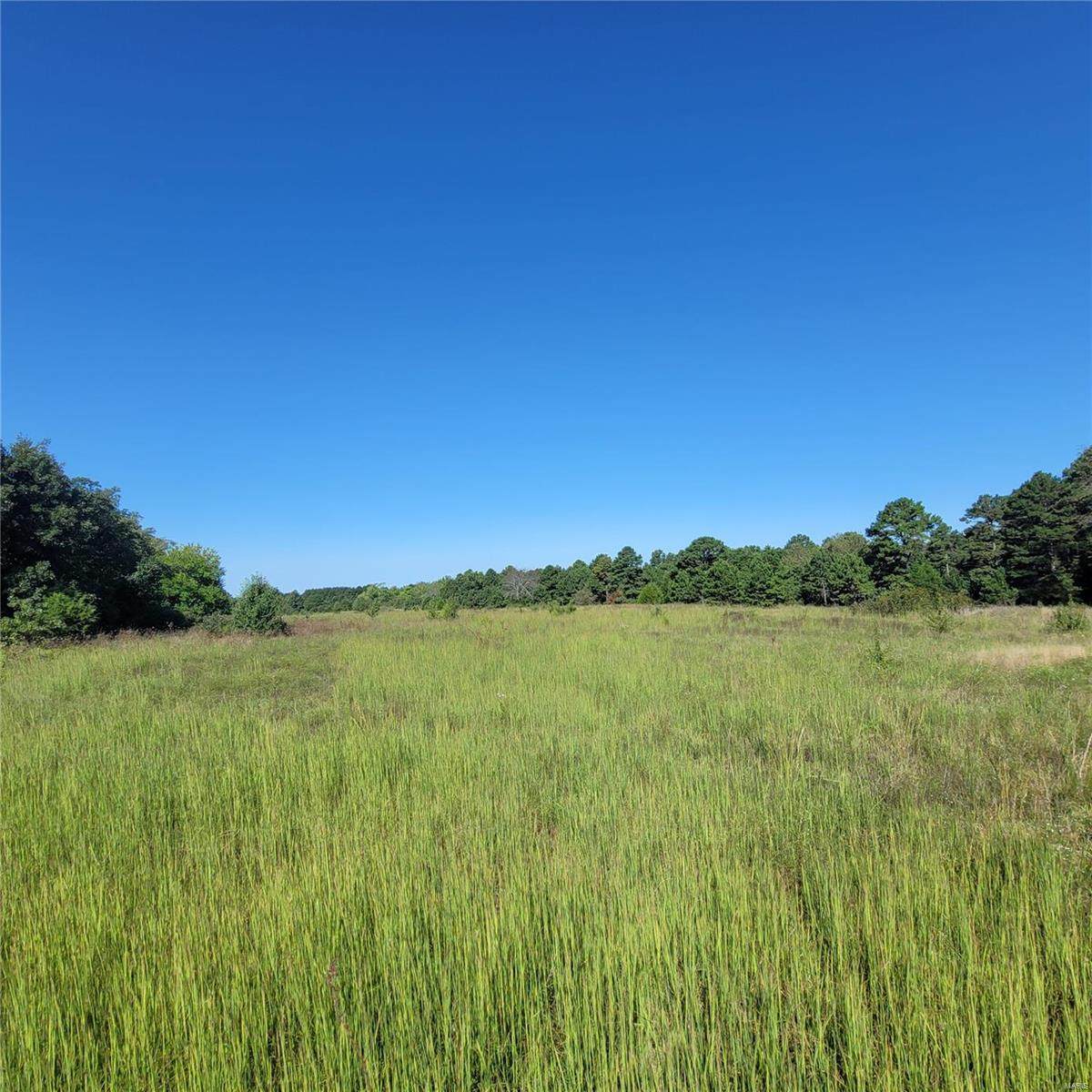 0 Highway 63 - Photo 1