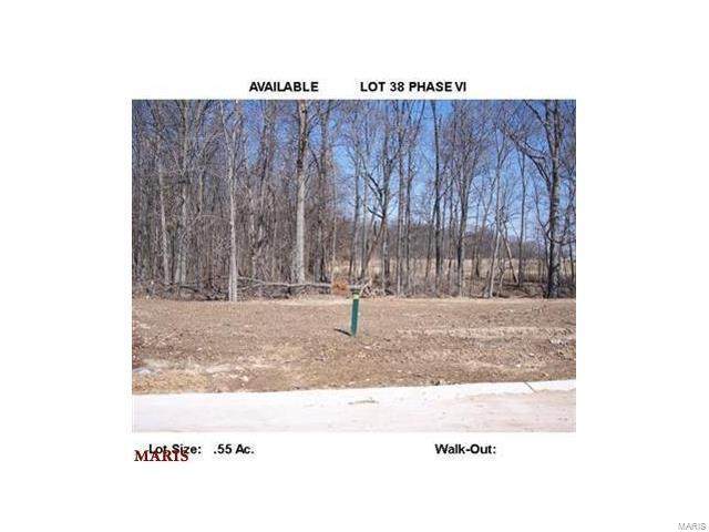 175 Vista Vallarta-Lot 38 Drive - Photo 1