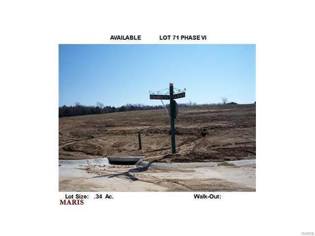 168 Vista Vallarta- Lot 71 Drive - Photo 1