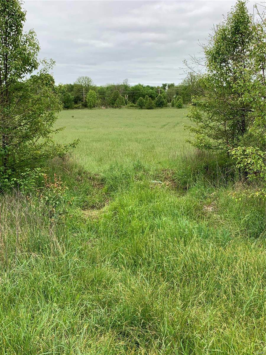 0 Tuscumbia - Photo 1