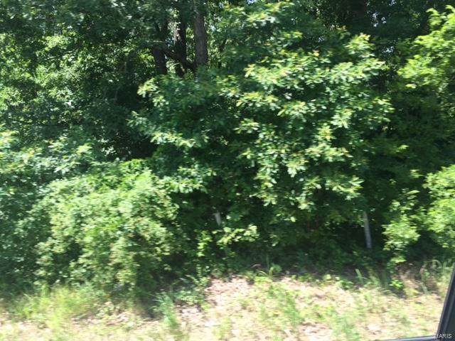 0 Highway 17 South - Photo 1