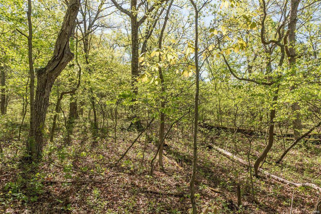 118 Long Oaks Drive - Photo 1