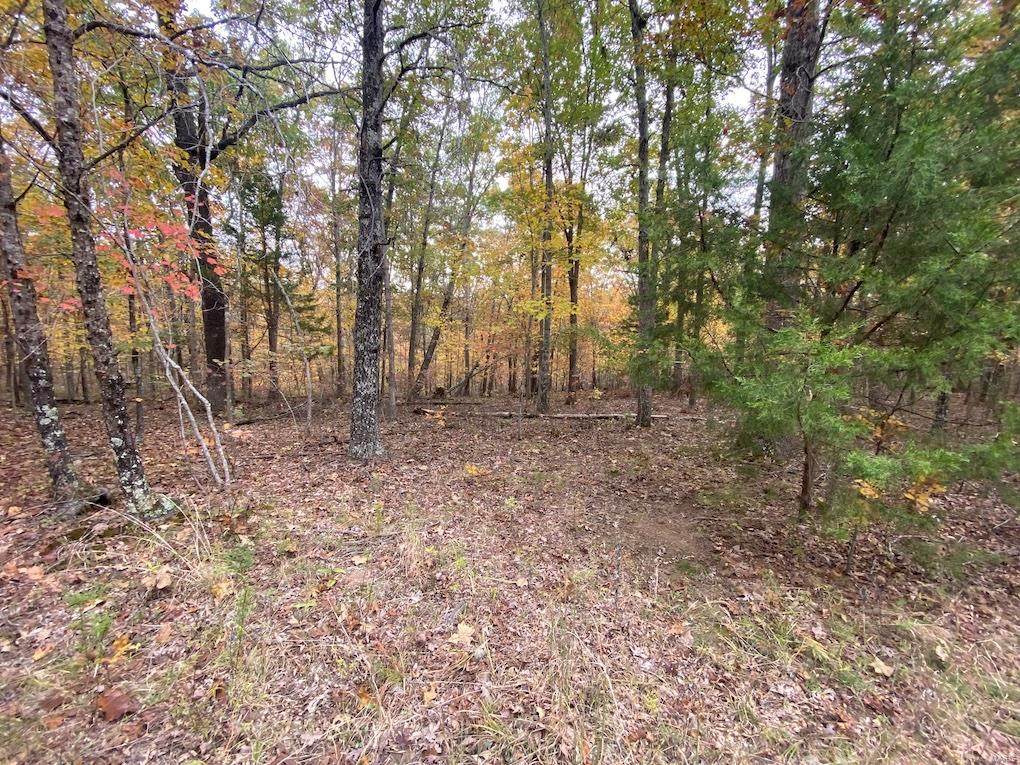 0 10.95 Acres- State Rd Ww - Photo 1