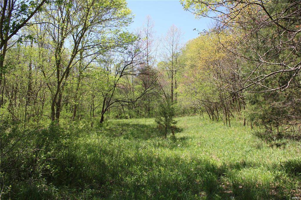 7 Steeple Rock Point Drive - Photo 1