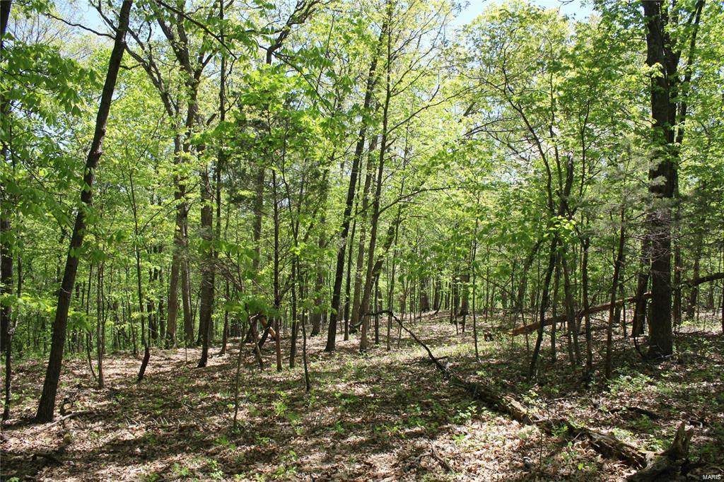 2 Steeple Rock Point Drive - Photo 1