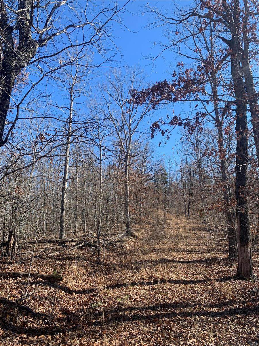 5 County Rd 118 - Photo 1
