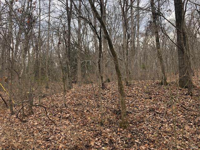 0 Laramie Rd - Photo 1