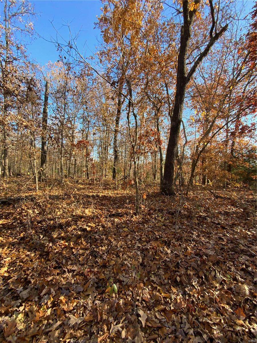 56 Beaver Ridge Road - Photo 1