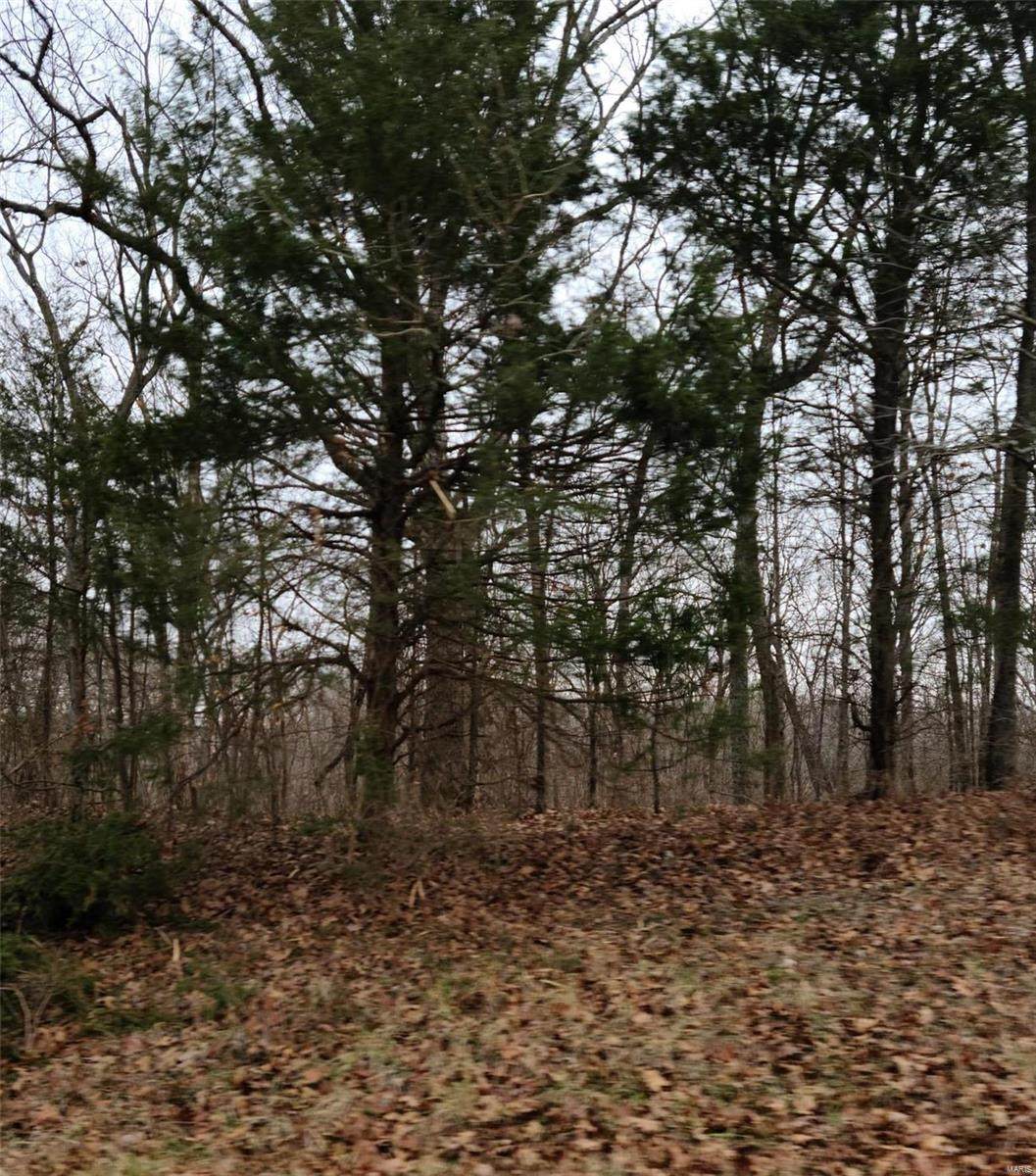 0 Spring Valley Road - Photo 1
