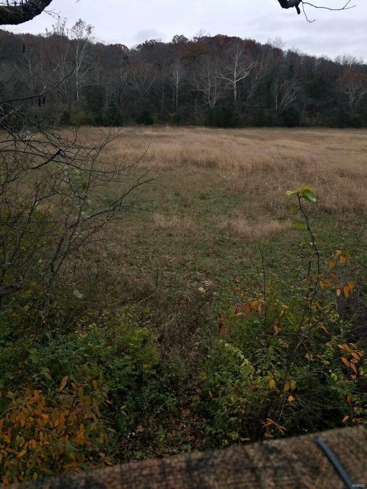 10832 Buckeye Road - Photo 1