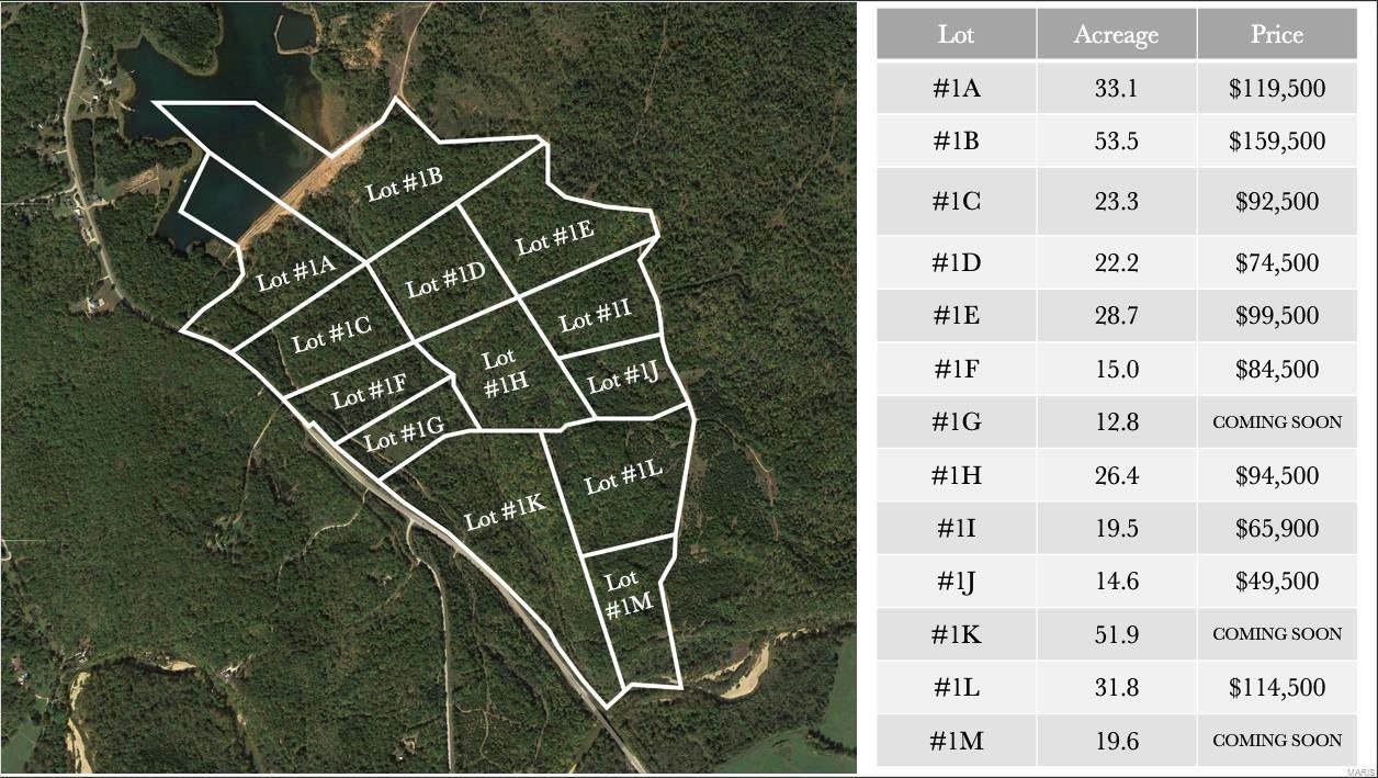 0 State Hwy 47 (Lot 1H) - Photo 1