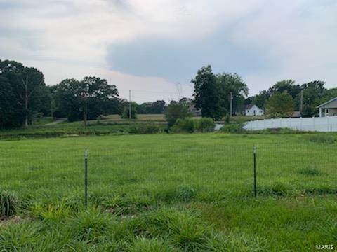 233 Mt Olive Road - Photo 1