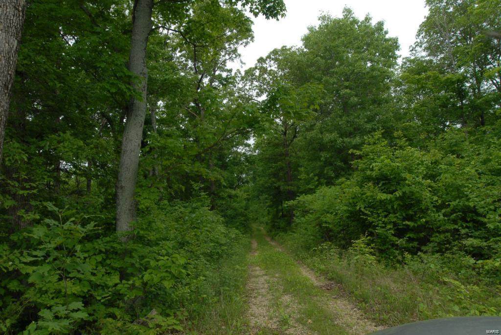 0 11.86 Acres Griesenauer Trail - Photo 1