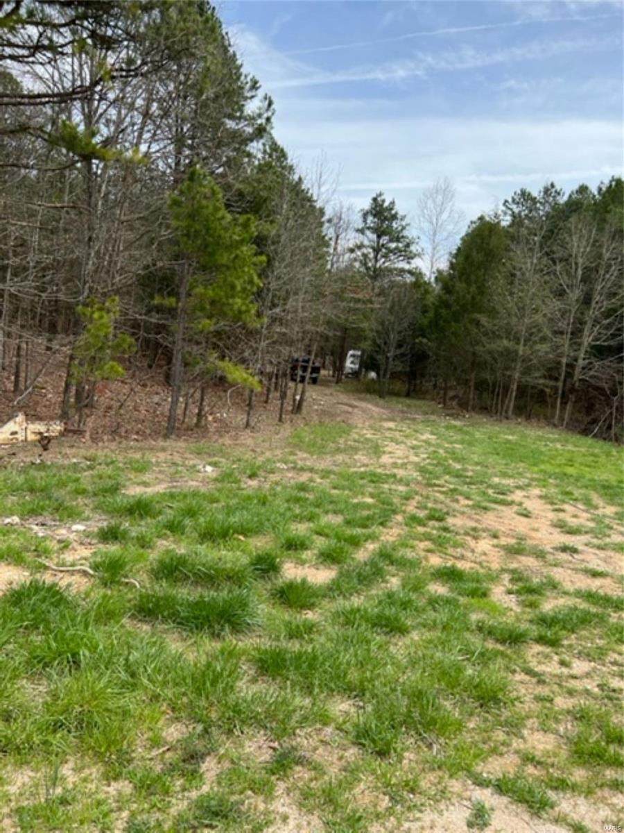 0 Tbd Dogwood Trail - Photo 1