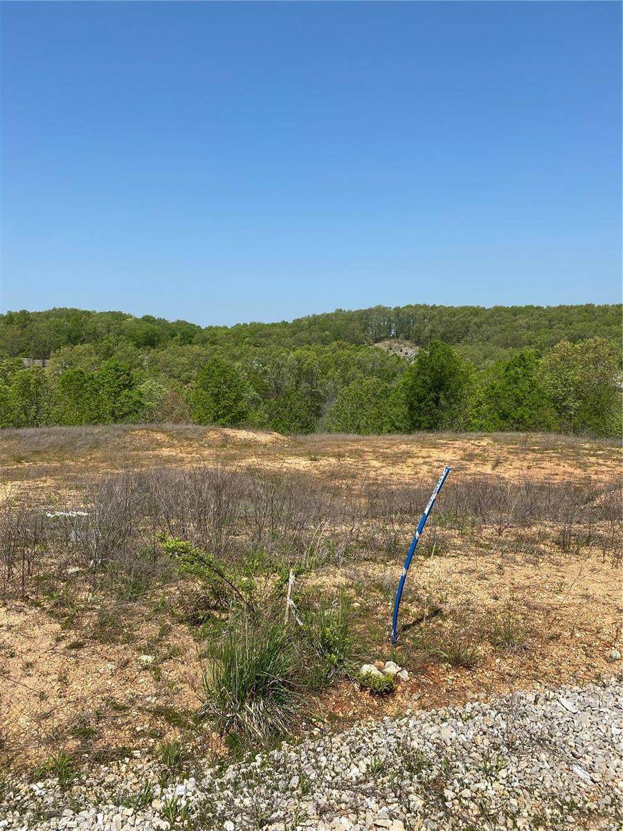 6 Tract 6 Halifax Dr - Photo 1