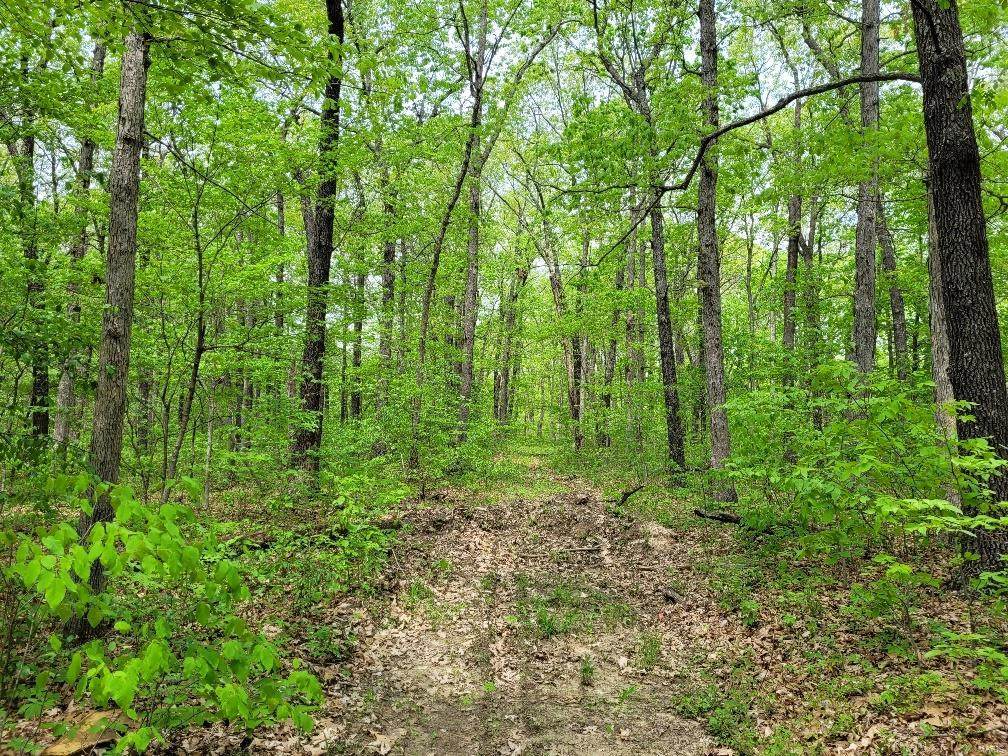 11 Sellenriek Ln. (8.8+/- Acres) - Photo 1