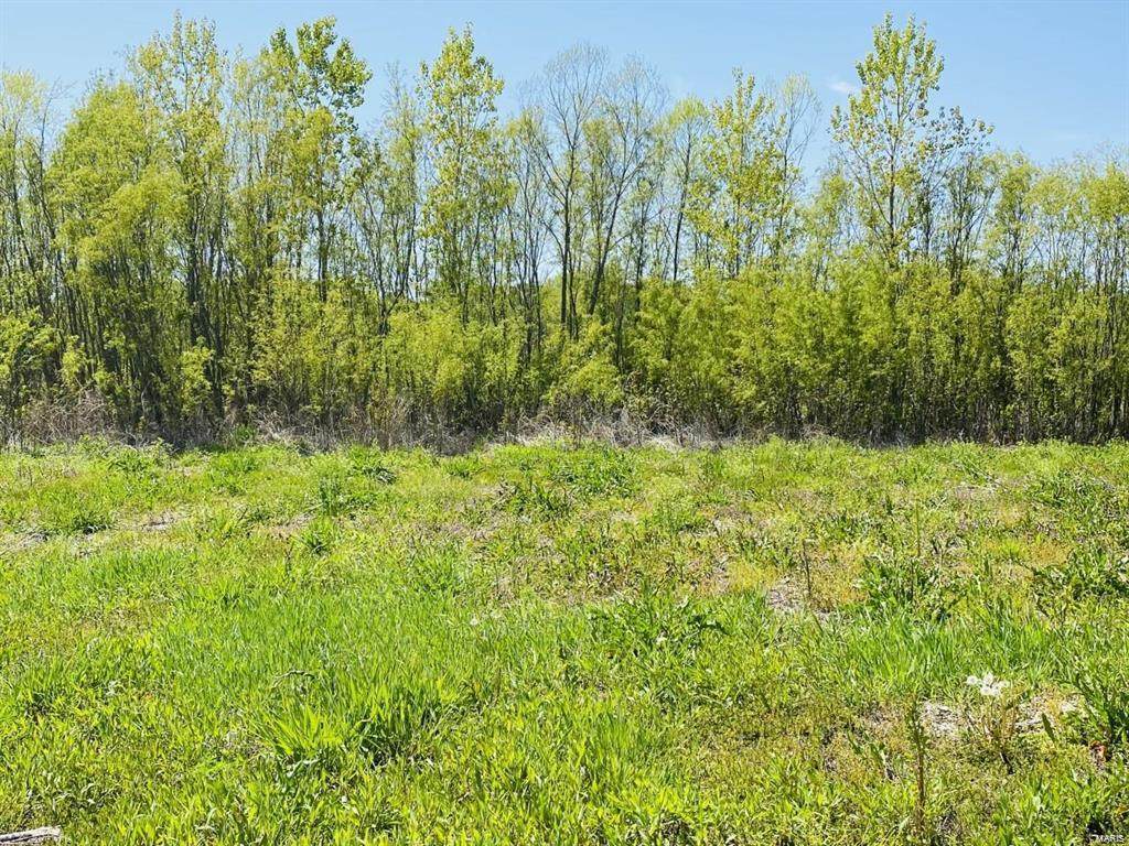 0 Pike 9203 - Photo 1