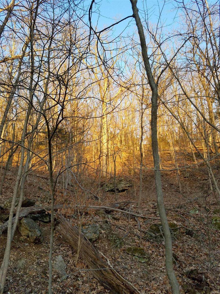 16515 Meadow Hawk - Photo 1