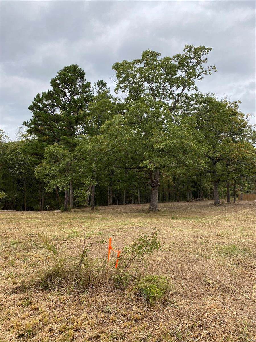 0 Tract C Rising Mist Dr - Photo 1