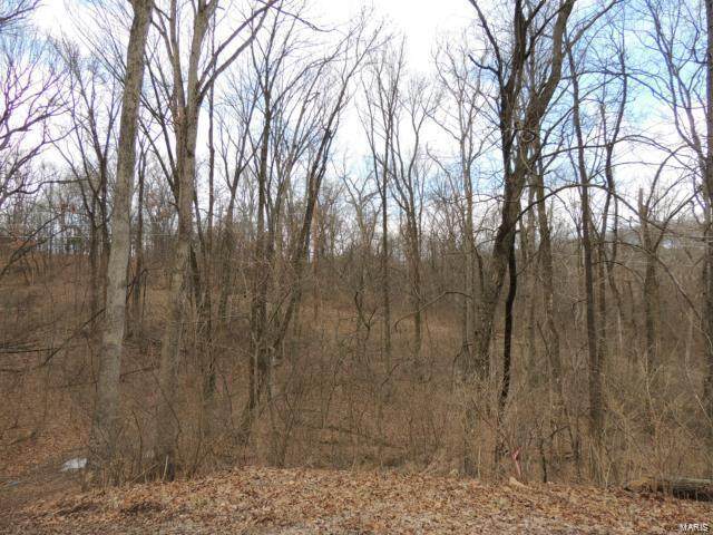 1026 Chesterfield Forest - Photo 1