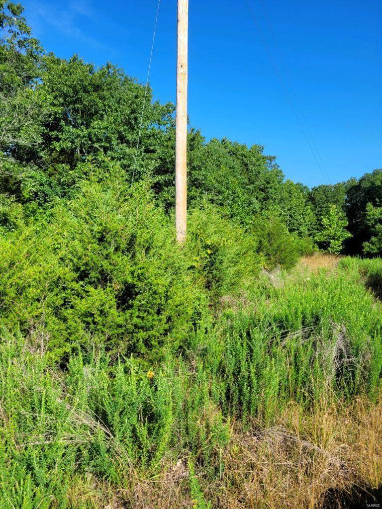 0 Keleman Farms Lot #28 - Photo 1