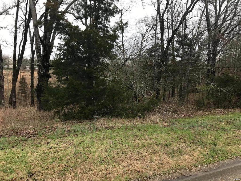 0 Brownwood Ct Lot 18 - Photo 1