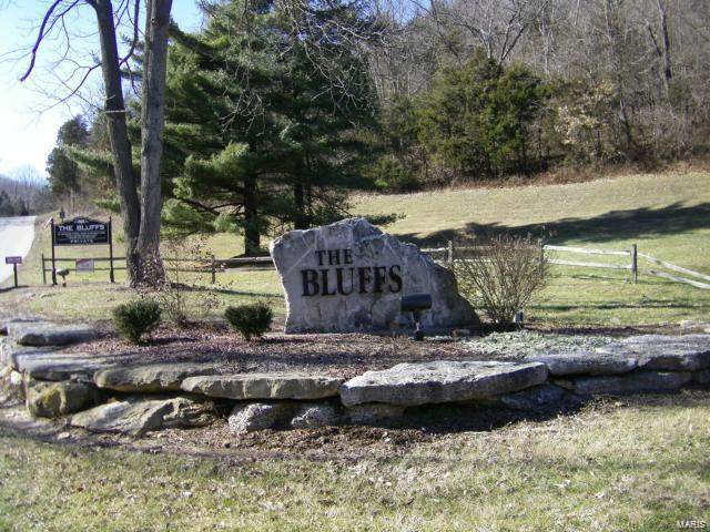 506 Old Logging Road - Photo 1