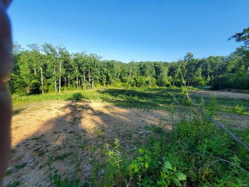 340 Little Sparrow Dr - Photo 1